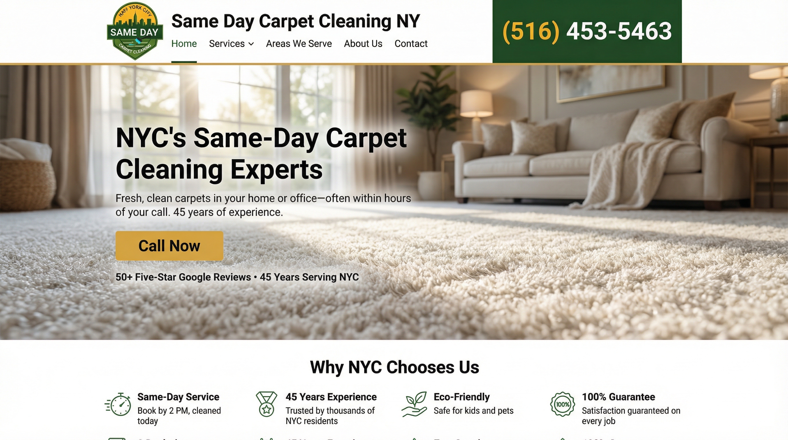 Same Day Carpet Cleaning NY website preview